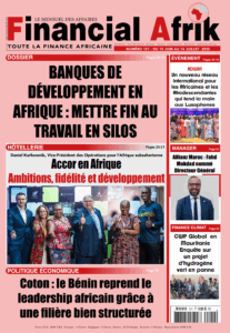 FA 121: BANQUES DE DÉVELOPPEMENT EN AFRIQUE : METTRE FIN AU TRAVAIL EN SILOS