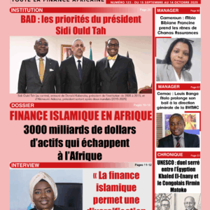 FA-123- BAD : les priorités du président Sidi Ould Tah