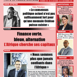 FA-134- Kako Nubukpo: « Le consensus politique actuel n’est pas suffisamment fort pour qu’une monnaie Cédéao puisse exister »